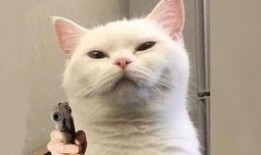 使命召唤爆料最新小白,小白崛起：揭秘神秘新角色背后的故事